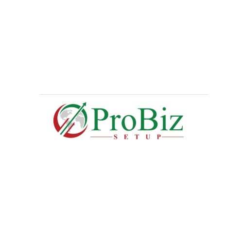 ProBiz Setup
