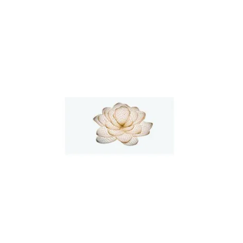 Lotus @ Queensway Medical