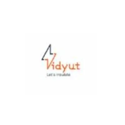 Vidyut Impex